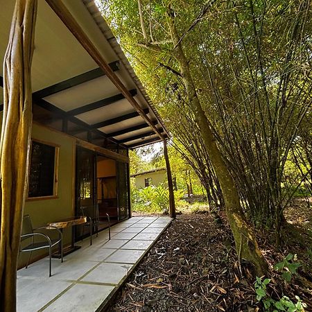 Bamboo River Lodge Horquetas المظهر الخارجي الصورة