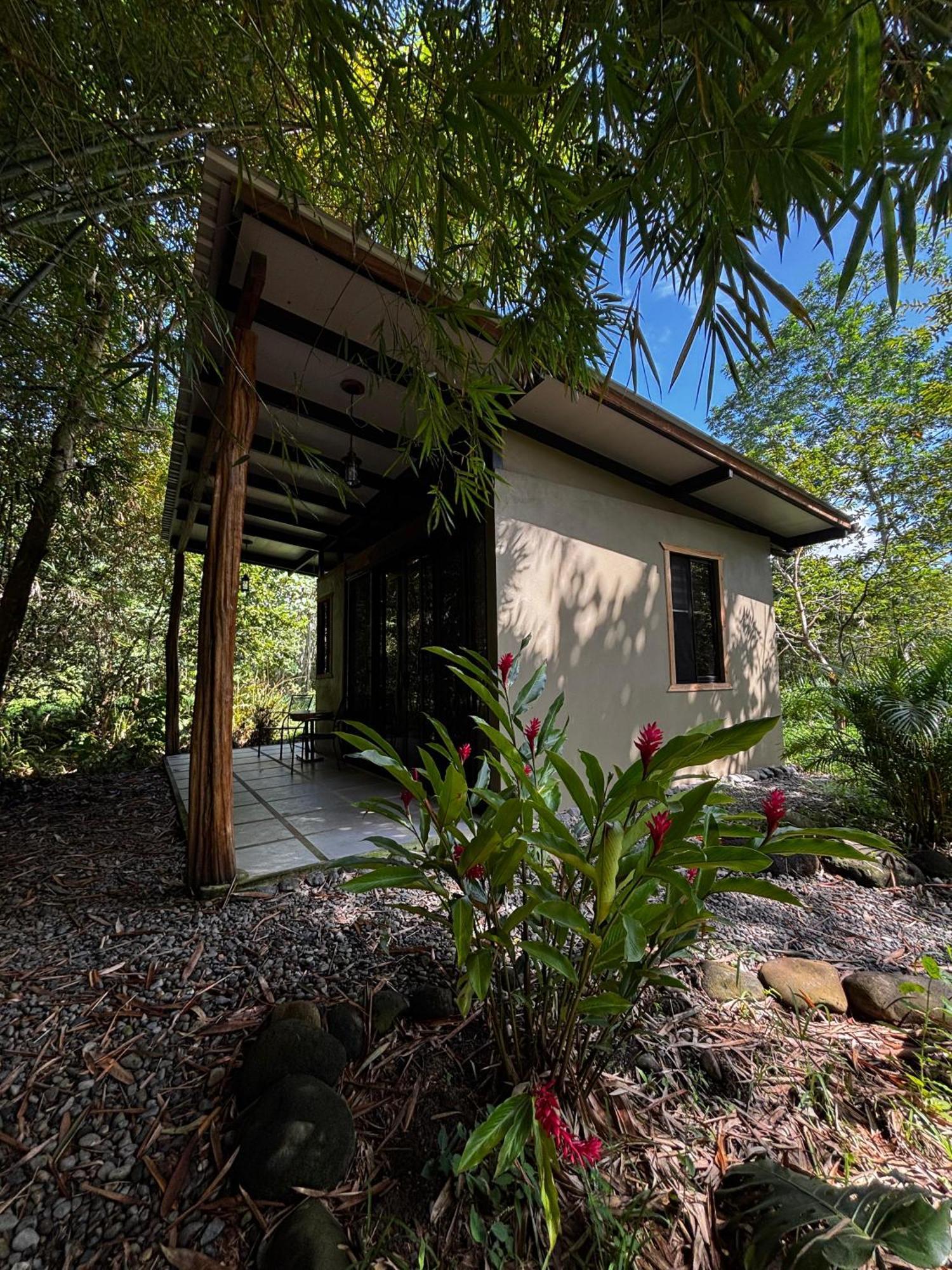 Bamboo River Lodge Horquetas المظهر الخارجي الصورة