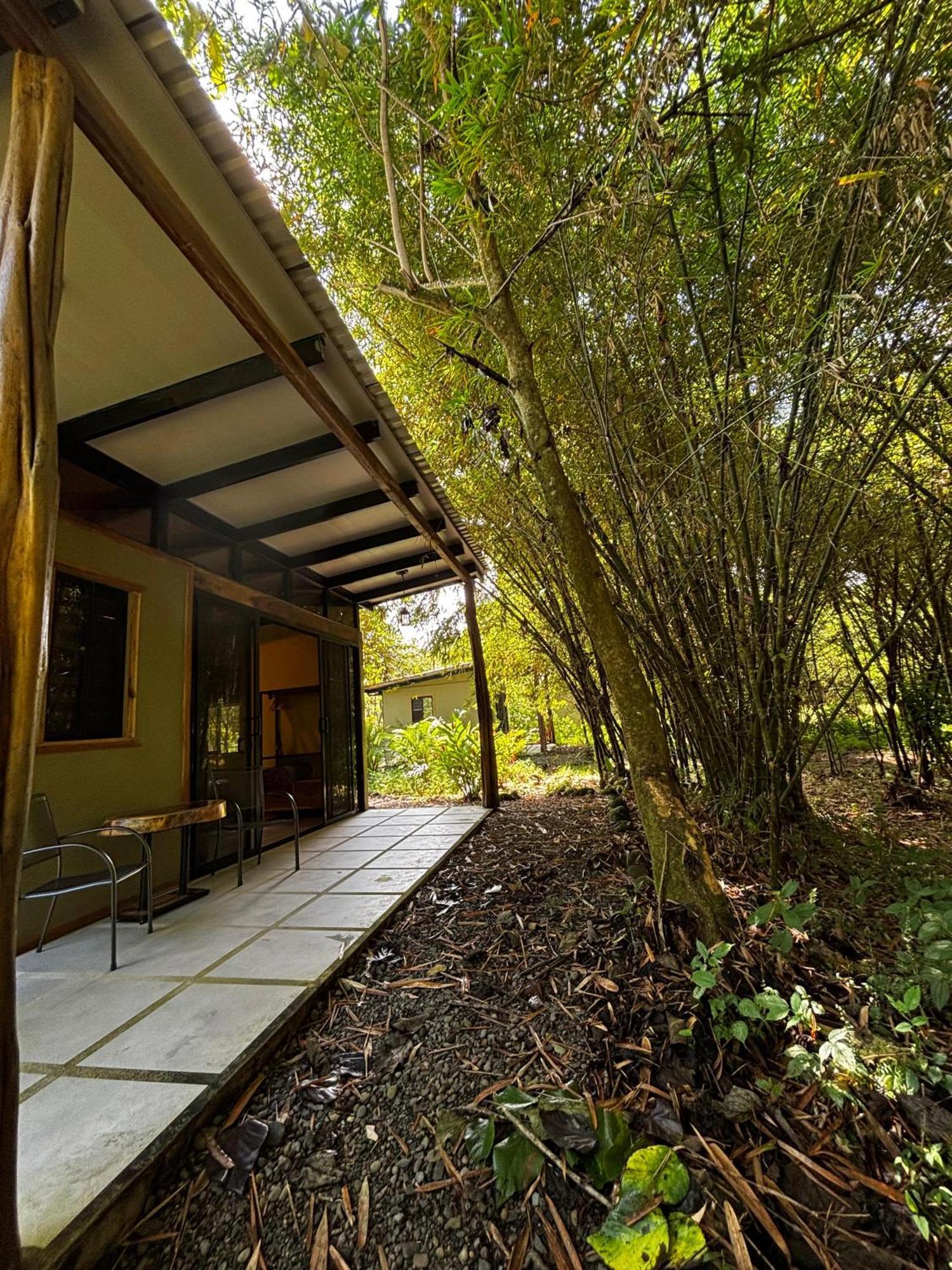 Bamboo River Lodge Horquetas المظهر الخارجي الصورة